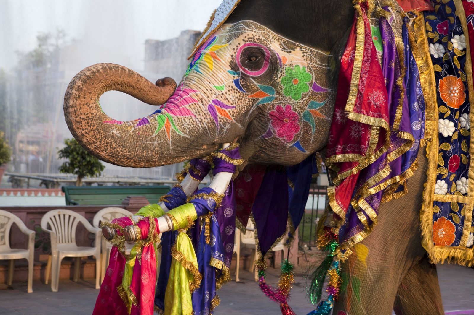 India busca crear regulaciones en la importaci&oacute;n e exportaci&oacute;n del oro