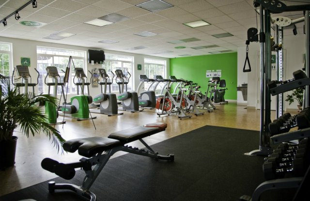 Green Gym, el gimnasio que convierte el ejercicio f&iacute;sico en energ&iacute;a el&eacute;ctrica