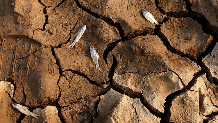 "Avanza m&aacute;s r&aacute;pido de lo previsto": As&iacute; afecta el cambio clim&aacute;tico a Latinoam&eacute;rica: