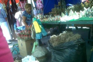 Proh&iacute;ben uso y comercializaci&oacute;n de musgo en Venezuela