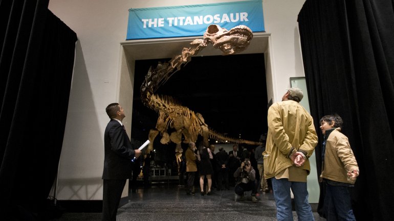  Un tit&aacute;n argentino llega para expandir nuestros conocimientos sobre los dinosaurios