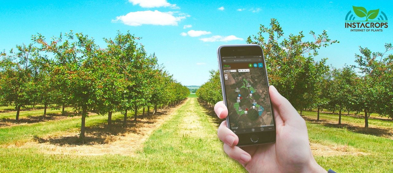 Lleg&oacute; a Colombia Instacrops, una AgTech que aumenta hasta 30% la productividad de los cultivos