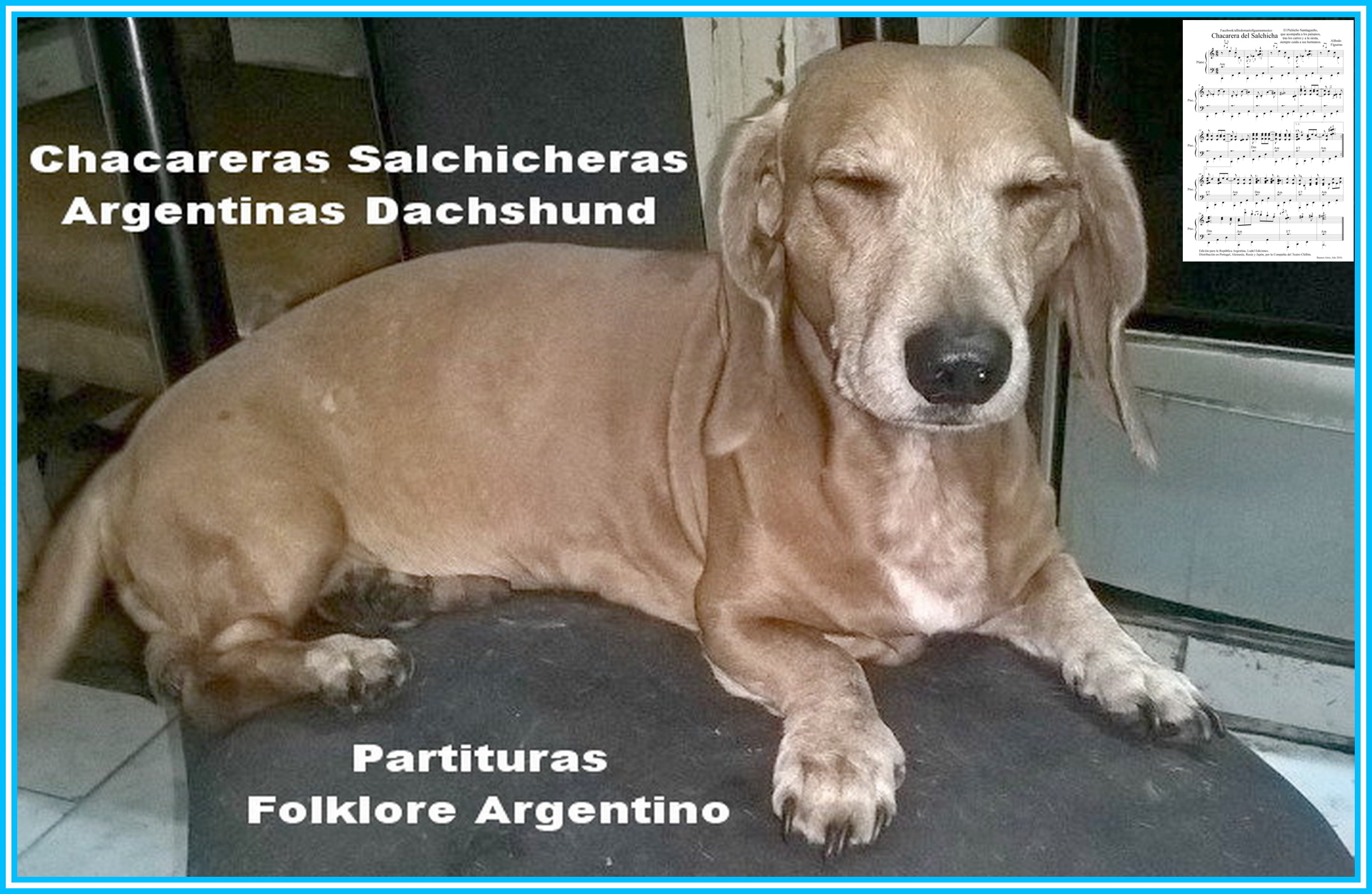 Chacarera del Salchicha Estreno Mundial Cantada por Julio Rol&oacute;n Dachshund Music Folklore Argentina