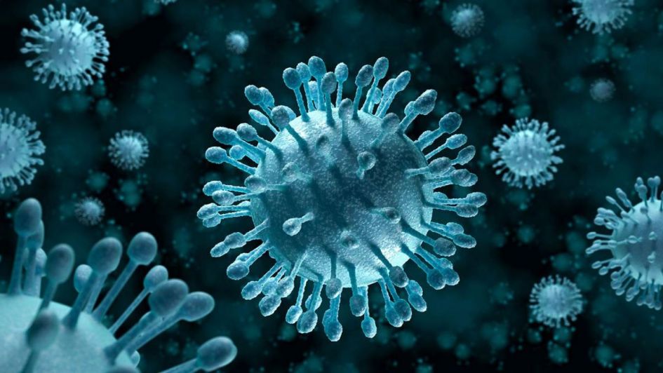 Nueva epidemia podr&iacute;a matar al 10% de la poblaci&oacute;n mundial