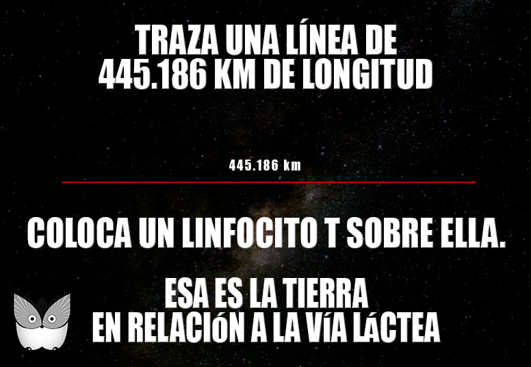 &iexcl;CURIOSIDAD! AS&Iacute; DE PEQUE&Ntilde;OS SOMOS EN EL UNIVERSO.