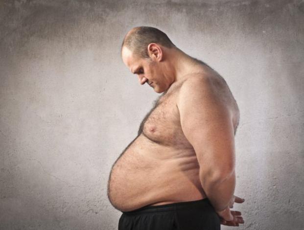 &iquest;Realmente la obesidad en el mundo es culpa de la grasa?