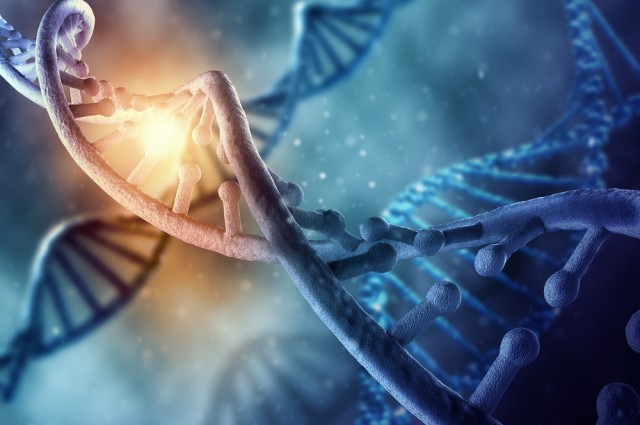 19 Pieces Of Non-Human DNA Found In Human Genome