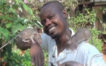 Ratas africanas usan su gran olfato para detectar minas