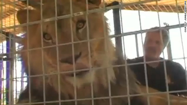 UN LEON MATA A UNA JOVEN EN CALIFORNIA