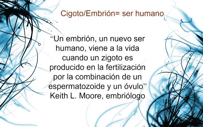 La defensa de la vida humana es transversal. Cuesti&oacute;n de honestidad
