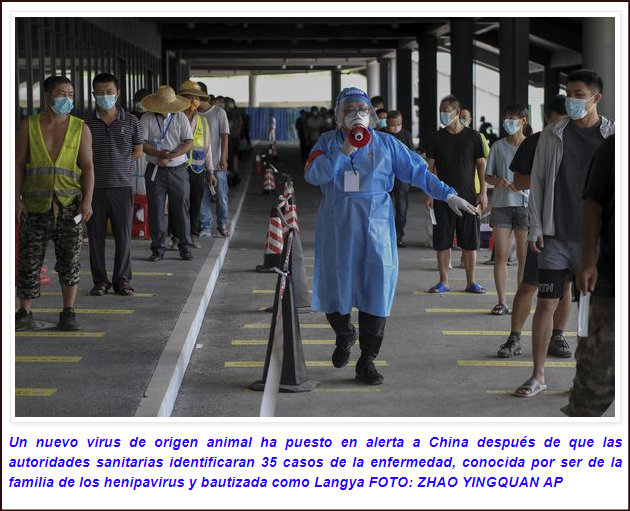 Henipavirus (Langya): Un nuevo virus q viene de China q amenaza con volver a inicios de la COVID-19