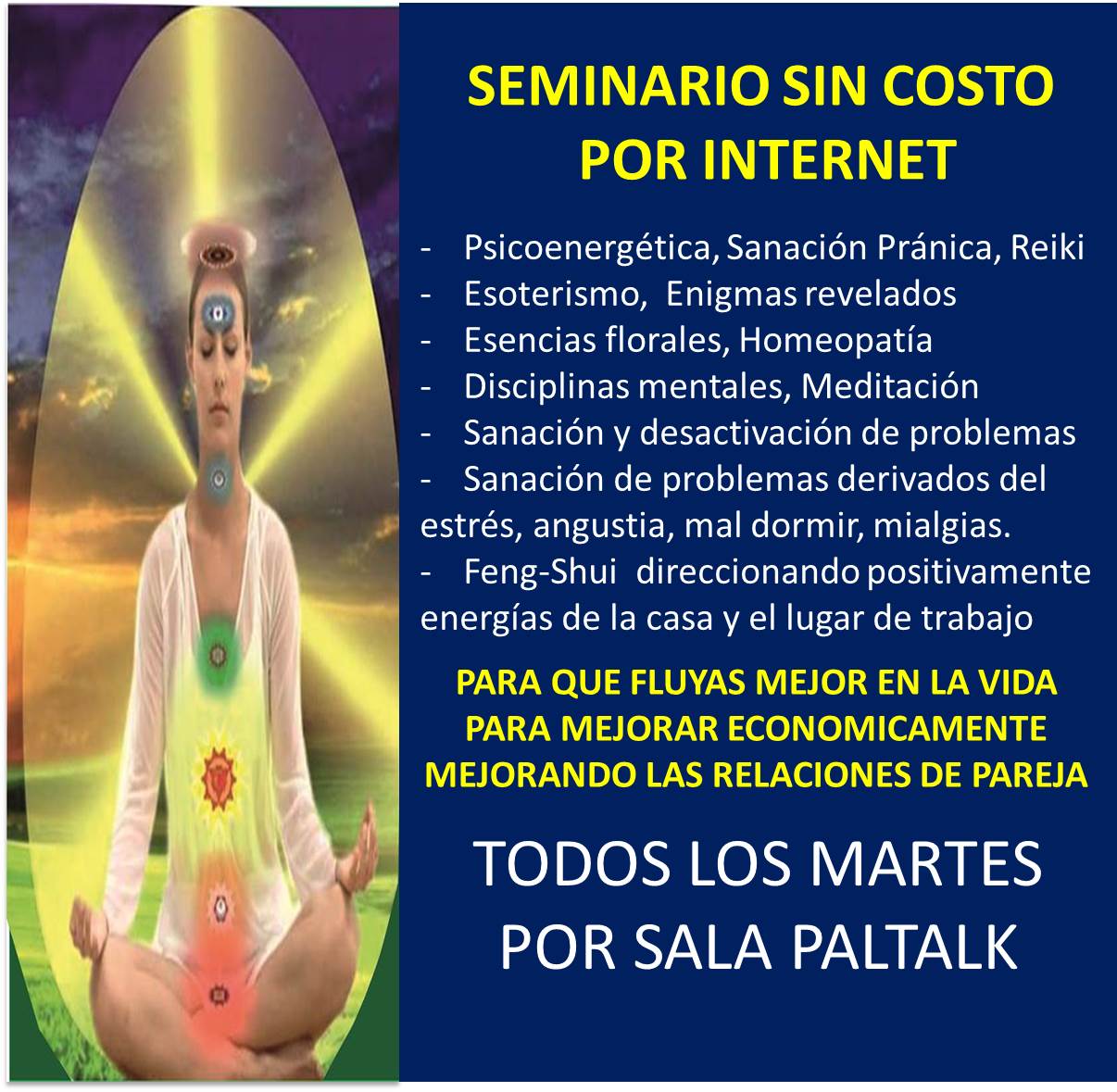 Seminario por Internet totalmente gratis