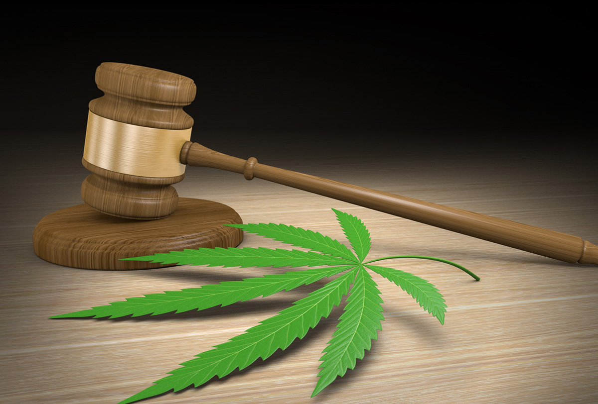 LA PROBLEM&Aacute;TICA DE LAS DROGAS 