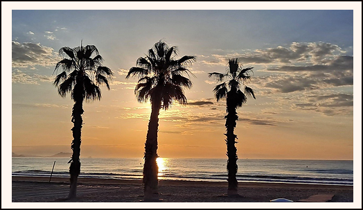  Buenos d&iacute;as desde Playa San Juan, Alicante (04/06/2024)