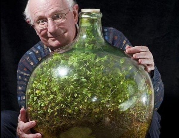 El jard&iacute;n que lleva 53 a&ntilde;os dentro de una botella