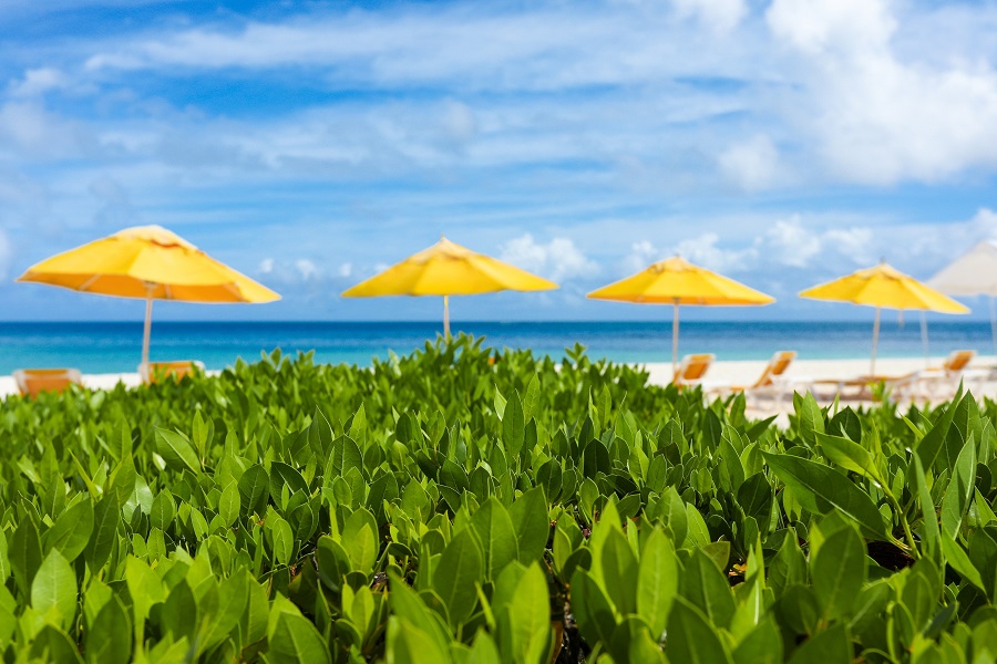 Anguilla un aut&eacute;ntico tesoro en El Caribe