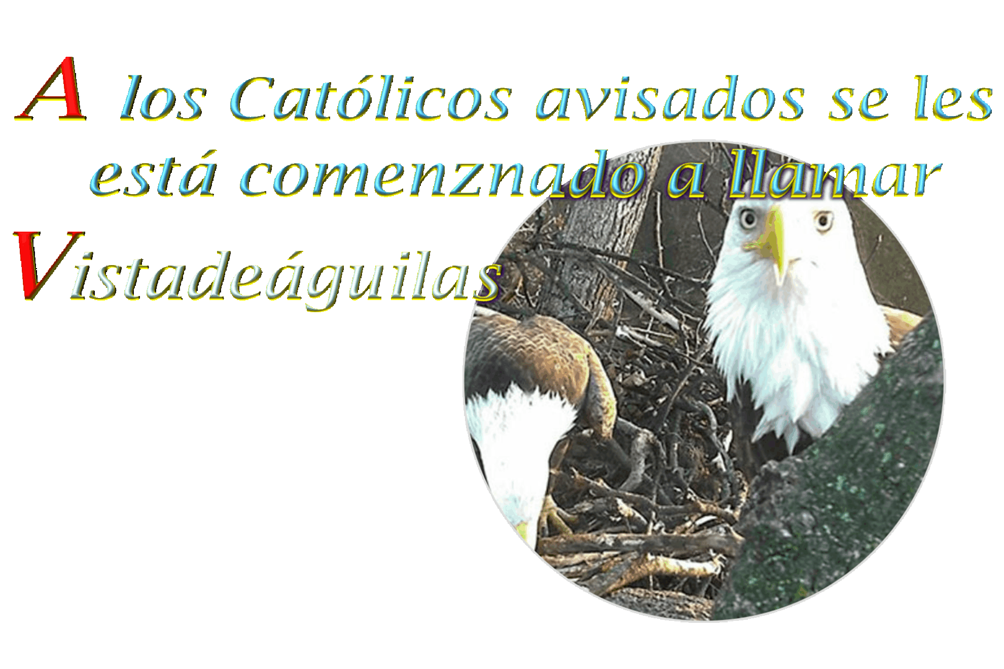 Avisados