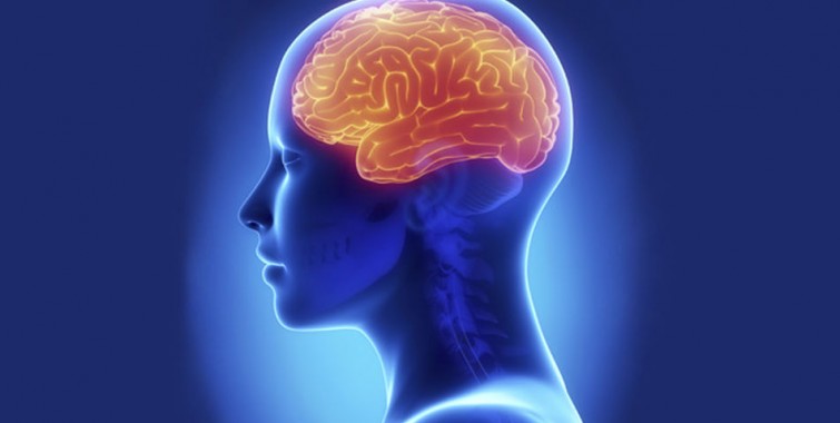 Las 9 sorprendentes maneras de manipular el cerebro humano &iexcl;Impactante!