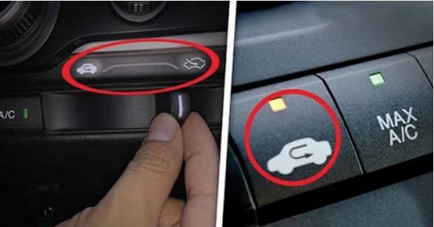 Sabes cu&aacute;l es el verdadero prop&oacute;sito de este bot&oacute;n?