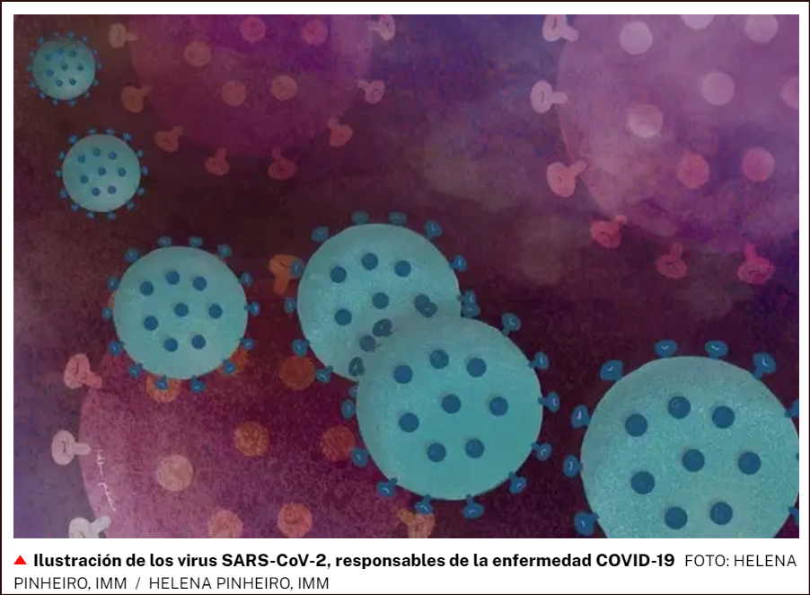 La COVID-19 y su &Oacute;micron/BA.4.6 sigue aqu&iacute;: Mantengamos las normas anticontagio, por favor