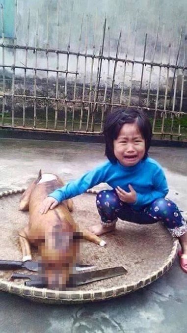 Horror: desconsolado llanto de una nena que encontr&oacute; a su perro cocinado en un mercado