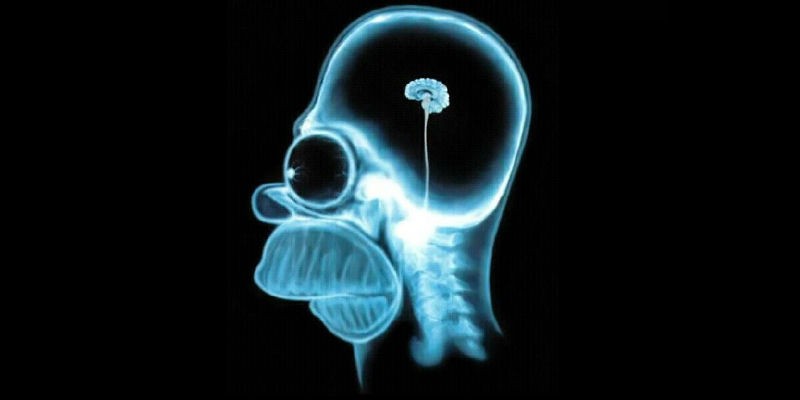 La estupidez analizada desde la ciencia