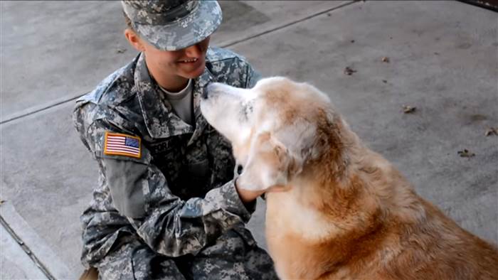 Home from basic training, soldier reunites with 13-year-old dog in heartwarming video