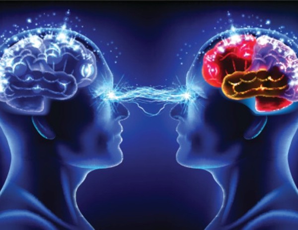 As&iacute; act&uacute;a la coca&iacute;na en el cerebro 