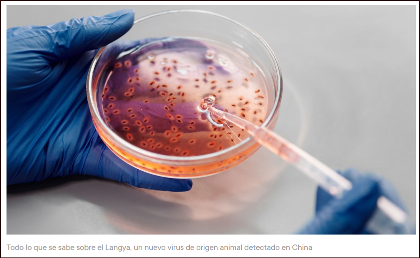  Un nuevo virus chino ataca de nuevo (el Langya)