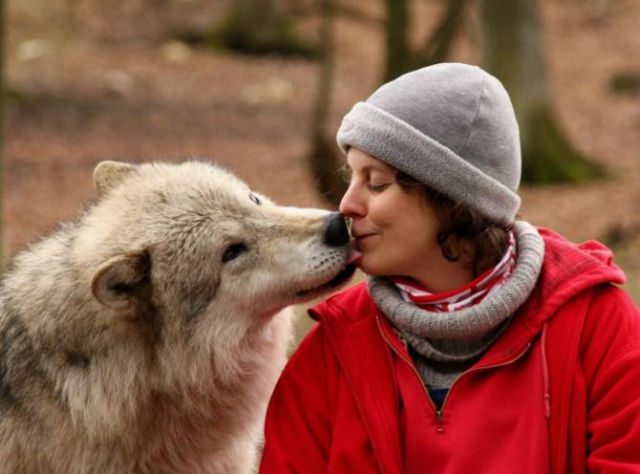 Conoce algunos de los alimentos que jam&aacute;s deber&iacute;as darle a tu perro