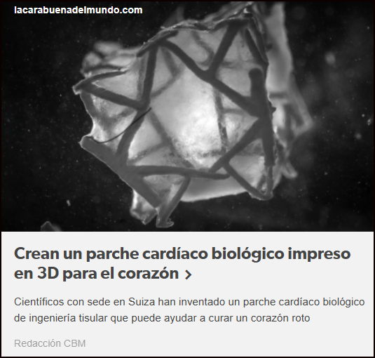  Crean un parche card&iacute;aco biol&oacute;gico impreso en 3D para el coraz&oacute;n
