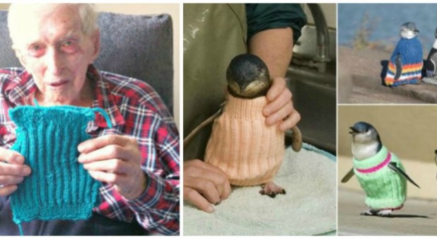 Este abuelito de 109 a&ntilde;os teje sacos de colores para salvar ping&uuml;inos