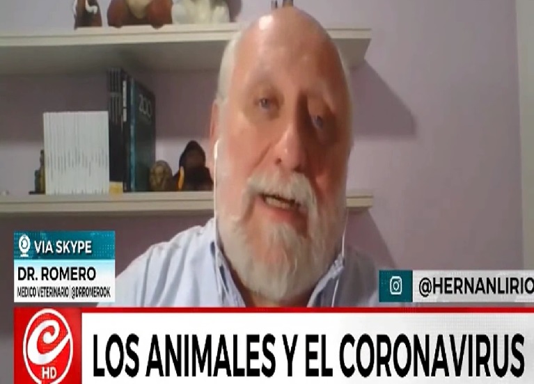 M&eacute;dico veterinario asegura que perros y gatos no transmiten el coronavirus a humanos 