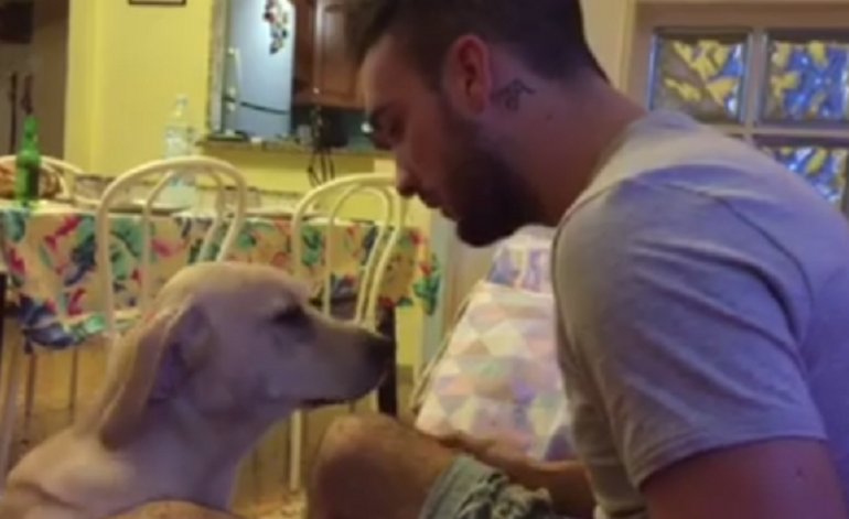 El perro que pide perd&oacute;n