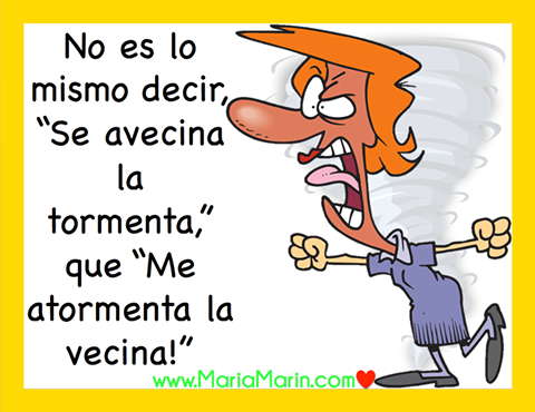 El tonto conf&iacute;a en la v&iacute;bora