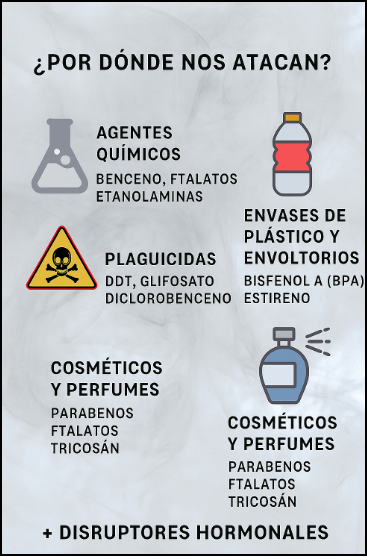  Disruptores (endocrinos y hormonales): Los enemigos invisibles