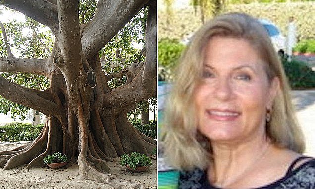 Mujer se "casa" con &aacute;rbol centenario para evitar que lo talen