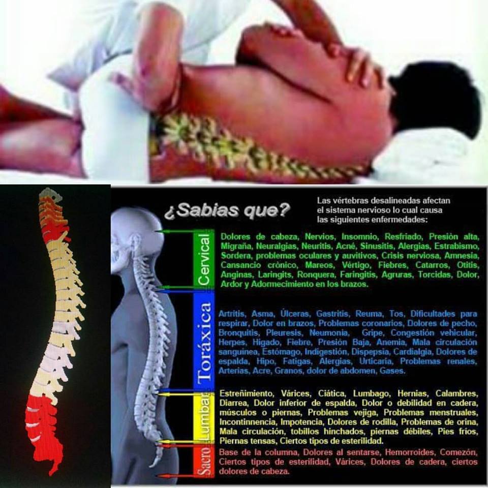 Dolor de Espalda te lo quita la Quiropracxis 