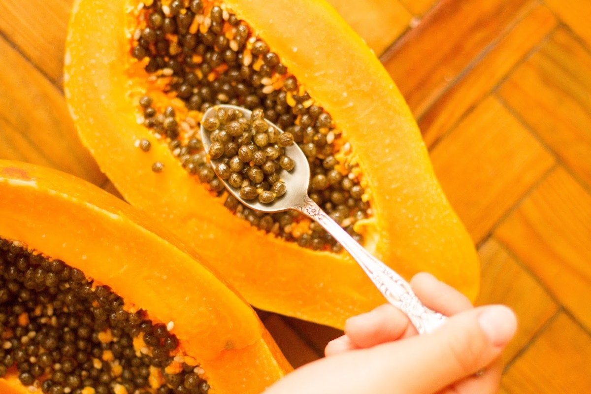 Despu&eacute;s de leer este post, pensar&aacute;s dos veces antes de tirar las semillas de la papaya a la basura