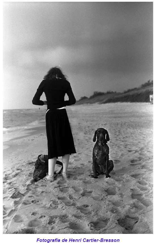  Mis vivencias junto al mar: Sensaciones