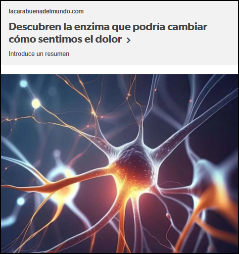  Descubren la enzima que podr&iacute;a cambiar c&oacute;mo sentimos el dolor
