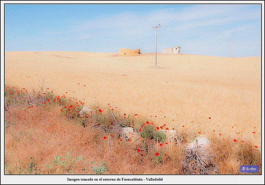 Campos de Castilla