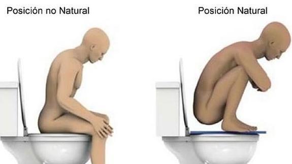  Revelan cu&aacute;l es la mejor forma de ir al ba&ntilde;o (retrete o inodoro)