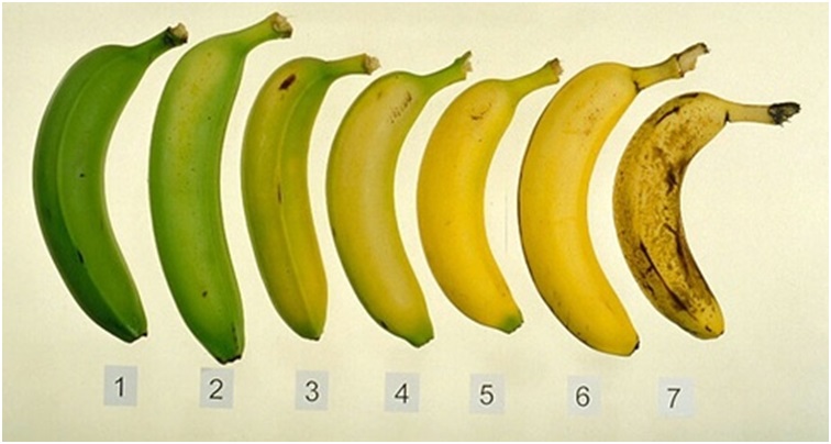 Fibromyalgia caused by not knowing how to eat fruits