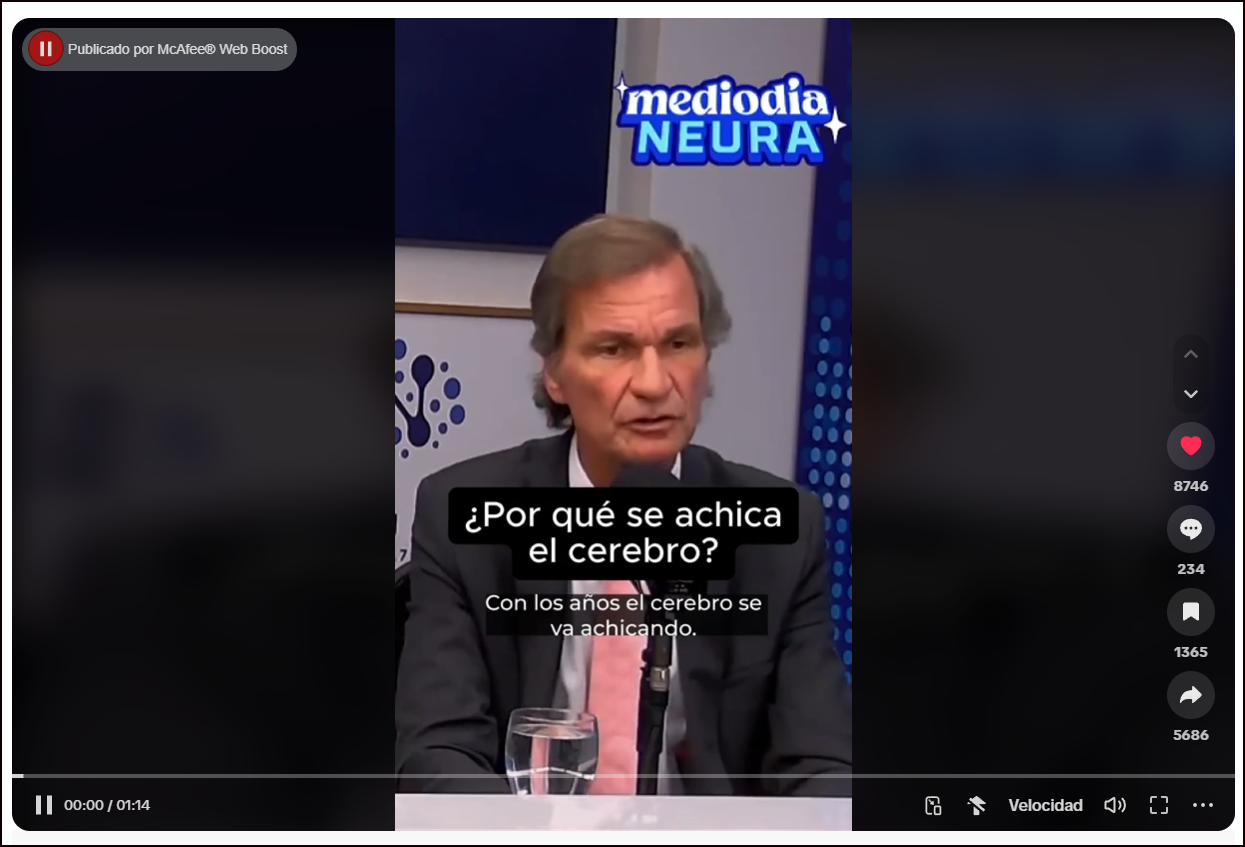 Una vida social activa ayuda a mejorar el flujo de la sangre en nuestro cerebro  