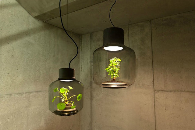 As&iacute; son las asombrosas l&aacute;mparas para cultivar plantas en su interior