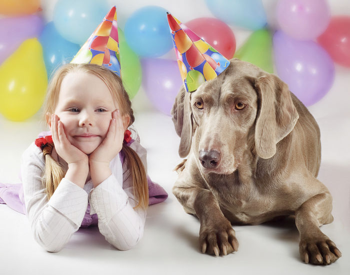 &iquest;Cu&aacute;l es la esperanza de vida de mi perro?
