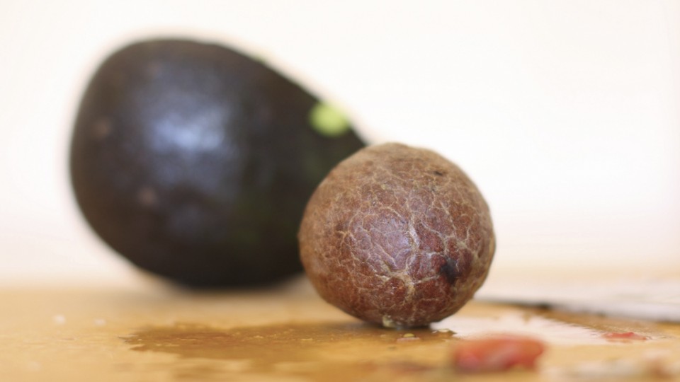 &iquest;Tiras a la basura la semilla del aguacate? Lee estos beneficios y no lo har&aacute;s nunca m&aacute;s