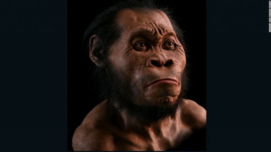 Homo naledi: una nueva especie de humano fue descubierto dentro de una cueva en Sud&aacute;frica