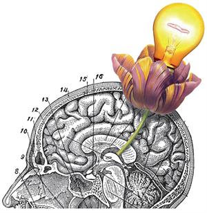 &iquest;&Eacute;res creativo? &iquest;Por qu&eacute;?